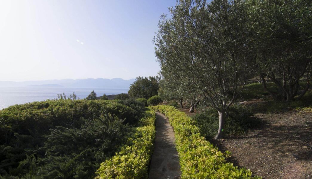 Villa Olous